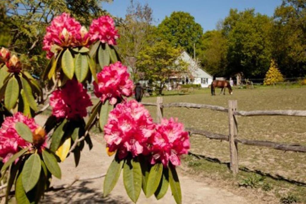 The Cottage Cross in Hand Екстериор снимка